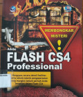 Adobe flash cs4 professional