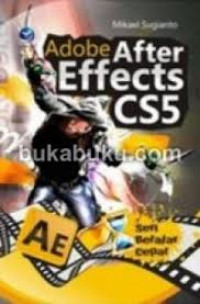 Adobe After Effects CSS