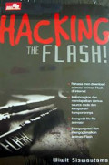 Hacking The flash