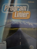 Program linier