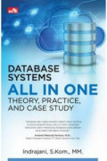 Database systems all in one theory, practice, and case study